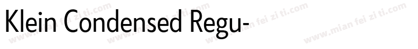 Klein Condensed Regu字体转换